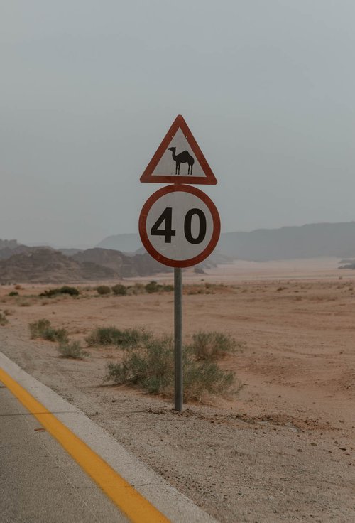 السرعة-في-الأردن